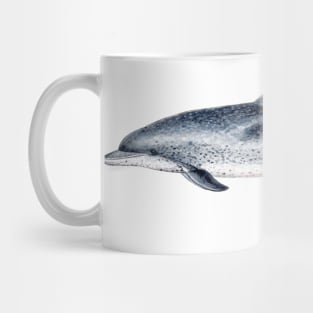 Atlantic spotted dolphin Mug